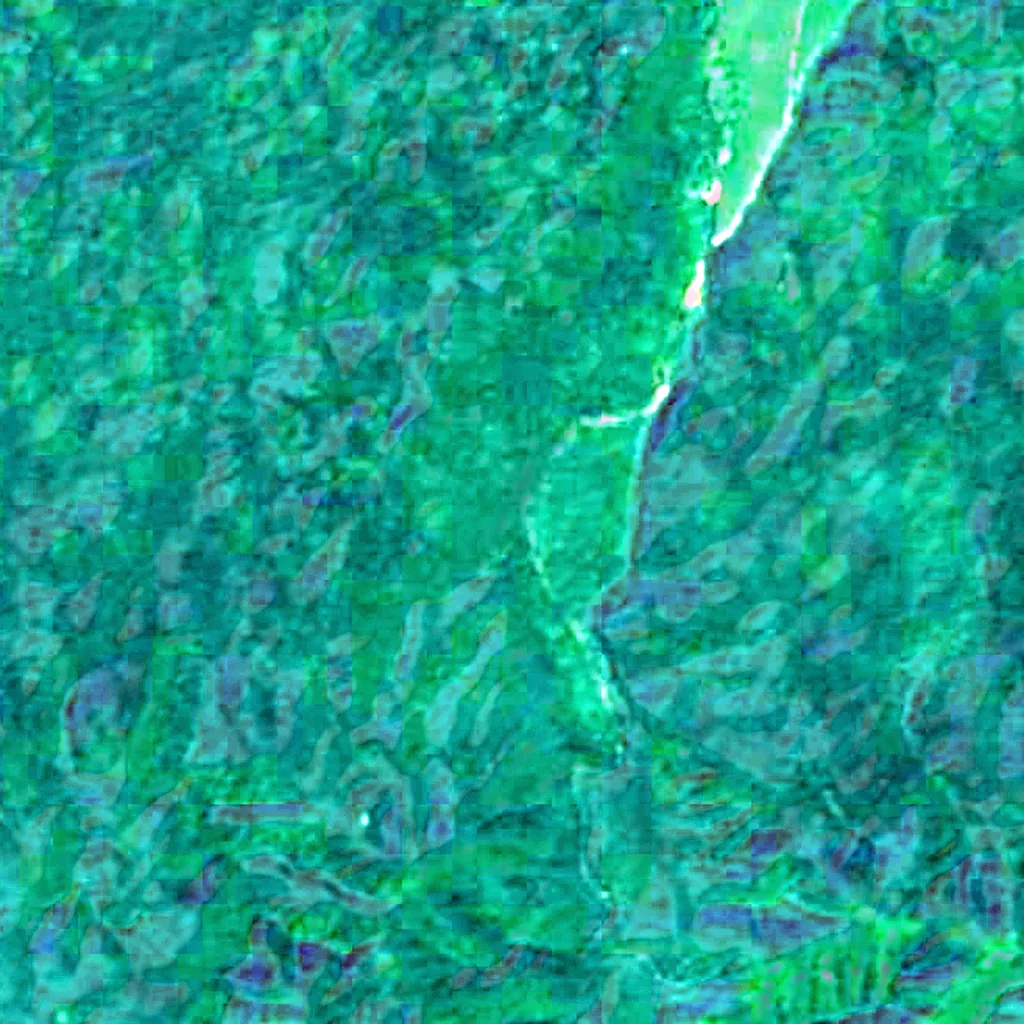 Der Boden über Actun Tunichil Muknal (Sentinel-2)