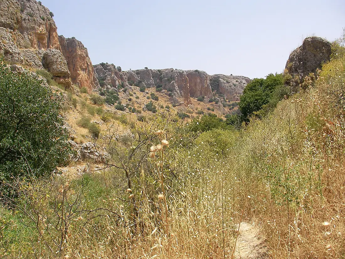 Nahal Amud Trails - panoramio (2)