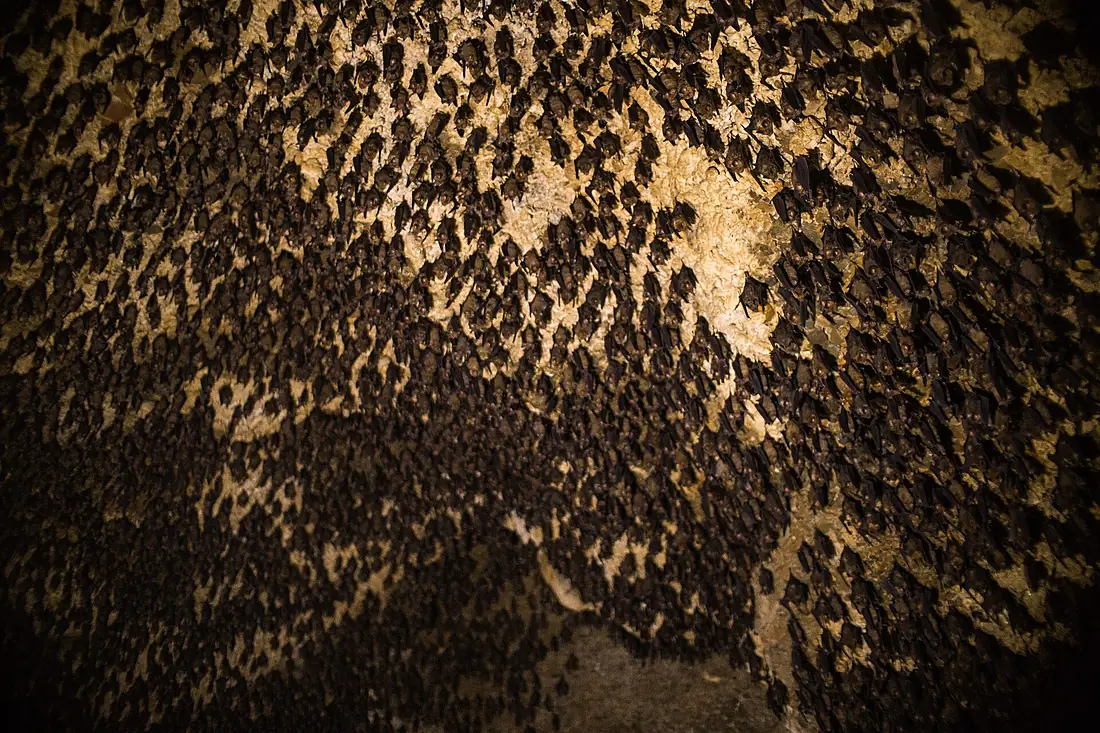 Bat Cave, Pokhara, Nepal - panoramio