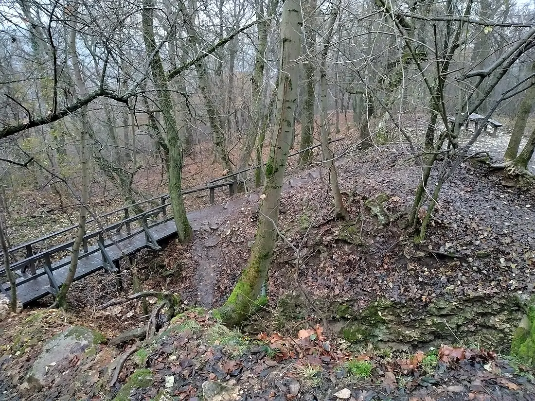 Bátori-barlang előtér2