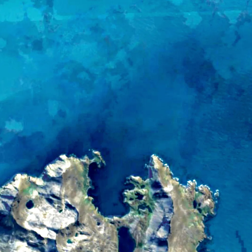 Der Boden über Burnet Cove (Sentinel-2)