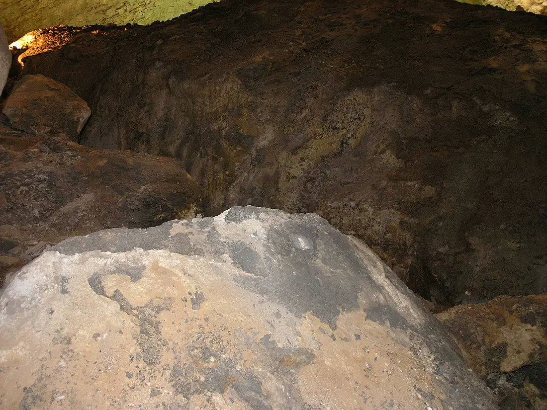 Bat Roost in Carlsbad Cavern-79