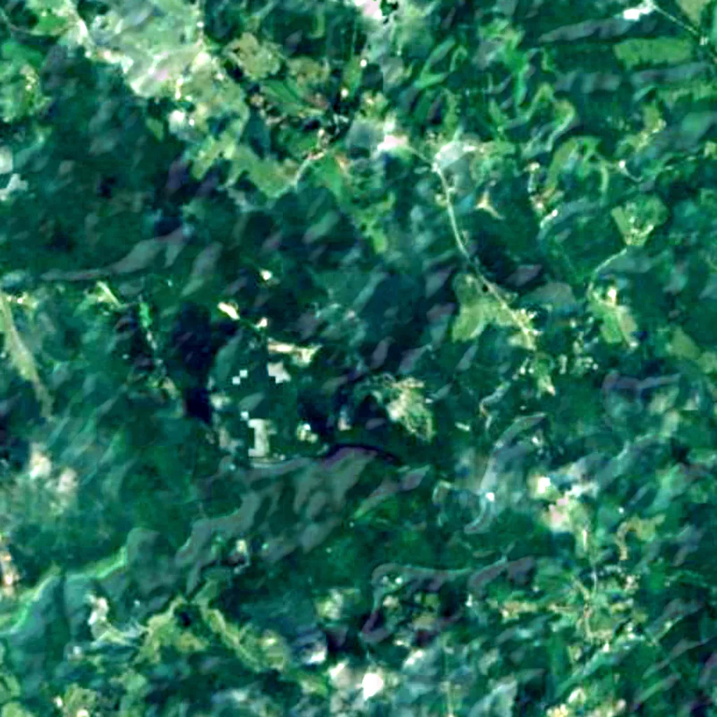 De grond boven Carter Caves State Resort Park (Sentinel-2)