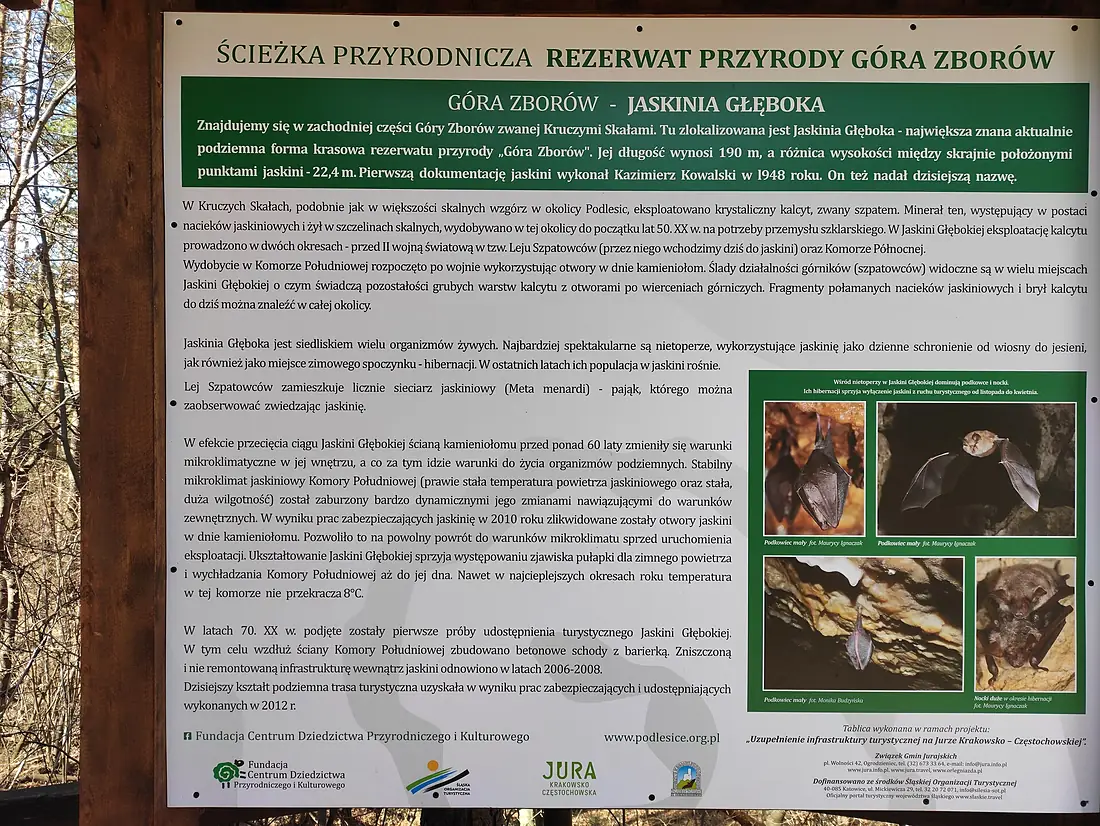 Jaskinia Głęboka, gm. Kroczyce, Rezerwat Góra Zborów, Polsko 02