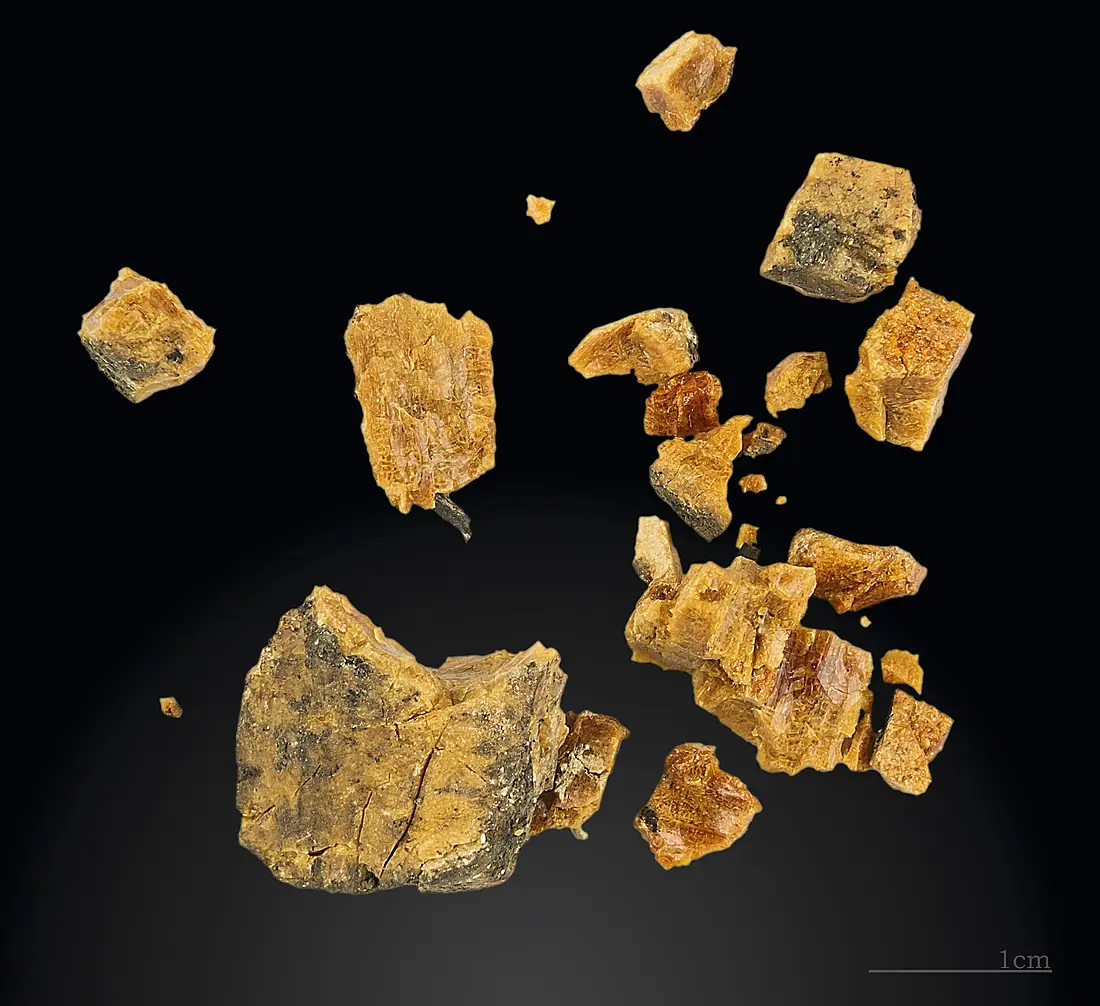 Altamira Ambre MHNT.PRE.2012.0.615