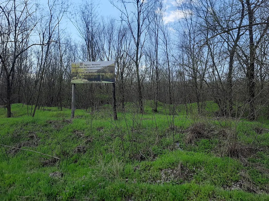 MD.CR.CR - Peștera Surprizelor, panou - apr 2026 - 01