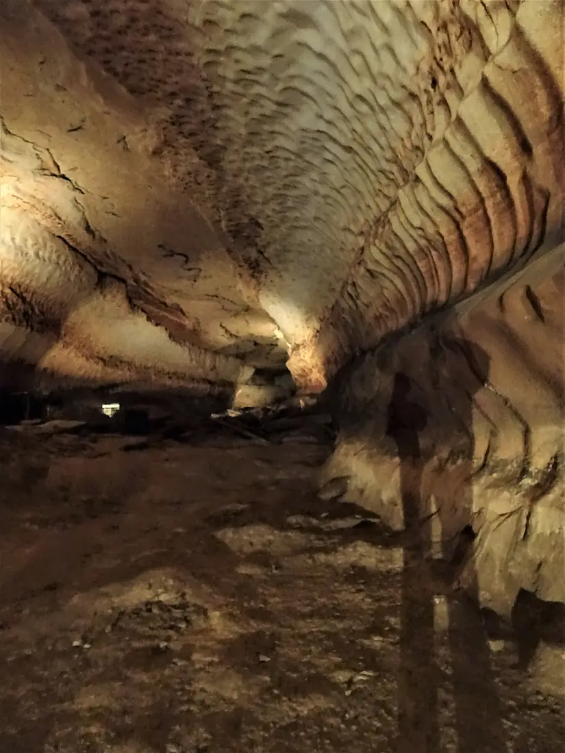Dans le ventre des gorges de l'Ardèche, la grotte de Saint Marcel 01