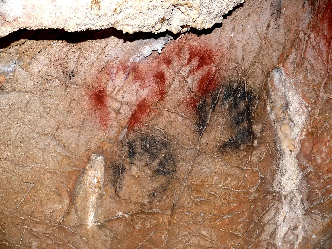 Gargas - Grande Paroi - Panneau 6- Mains noires et rouges doigts incomplets sauf pouce - YR