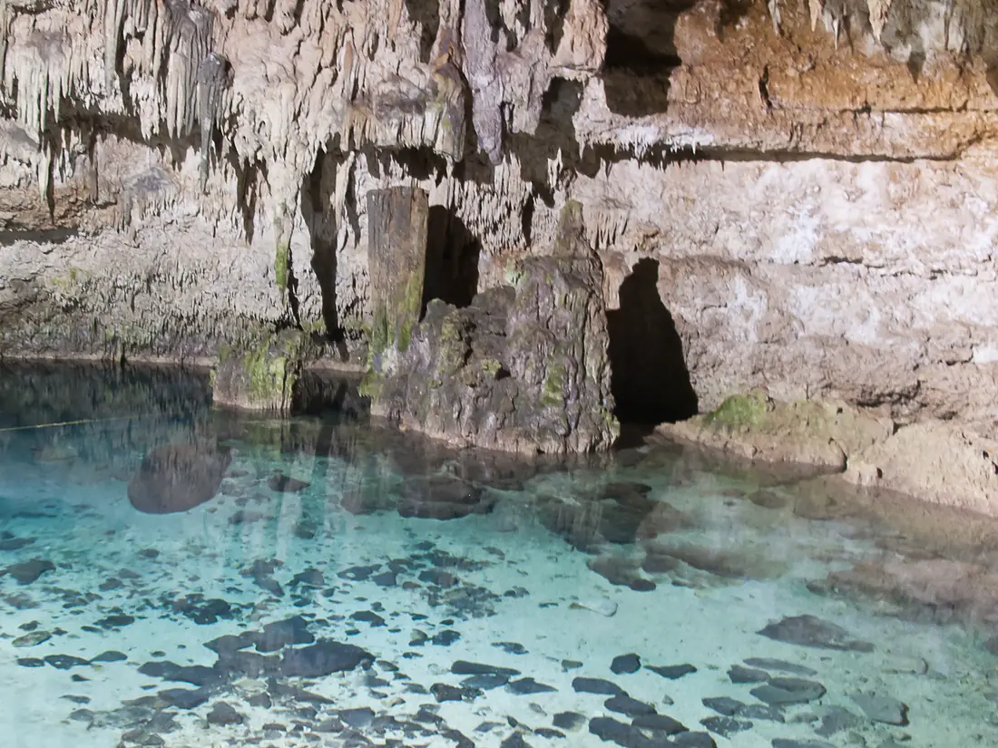 Cenote Choo-Ha - Cobá-6
