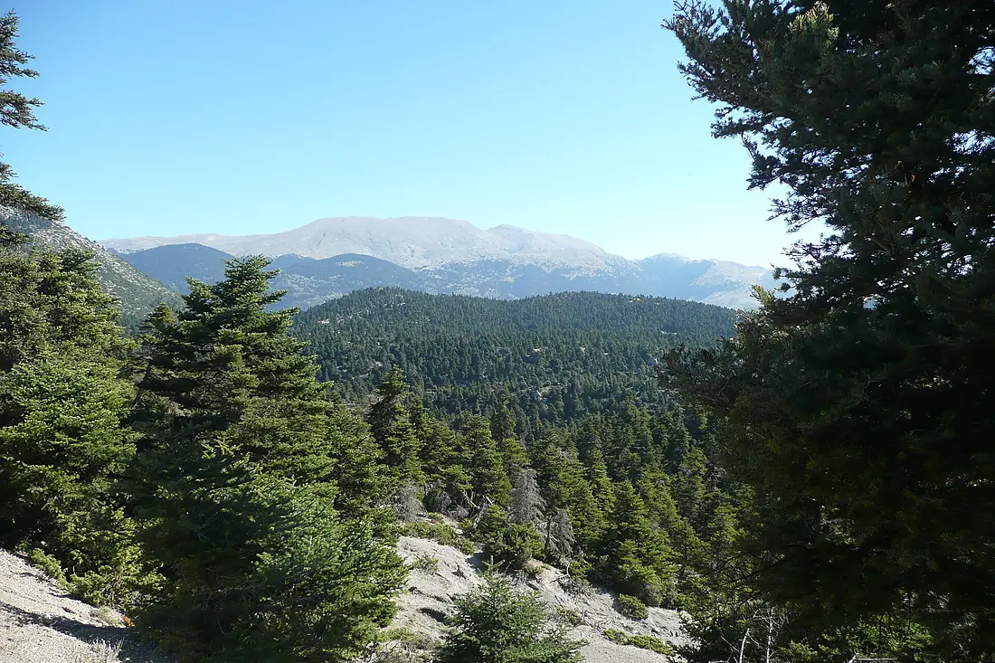 Delphi - Korycian Cave walk (15504415818)