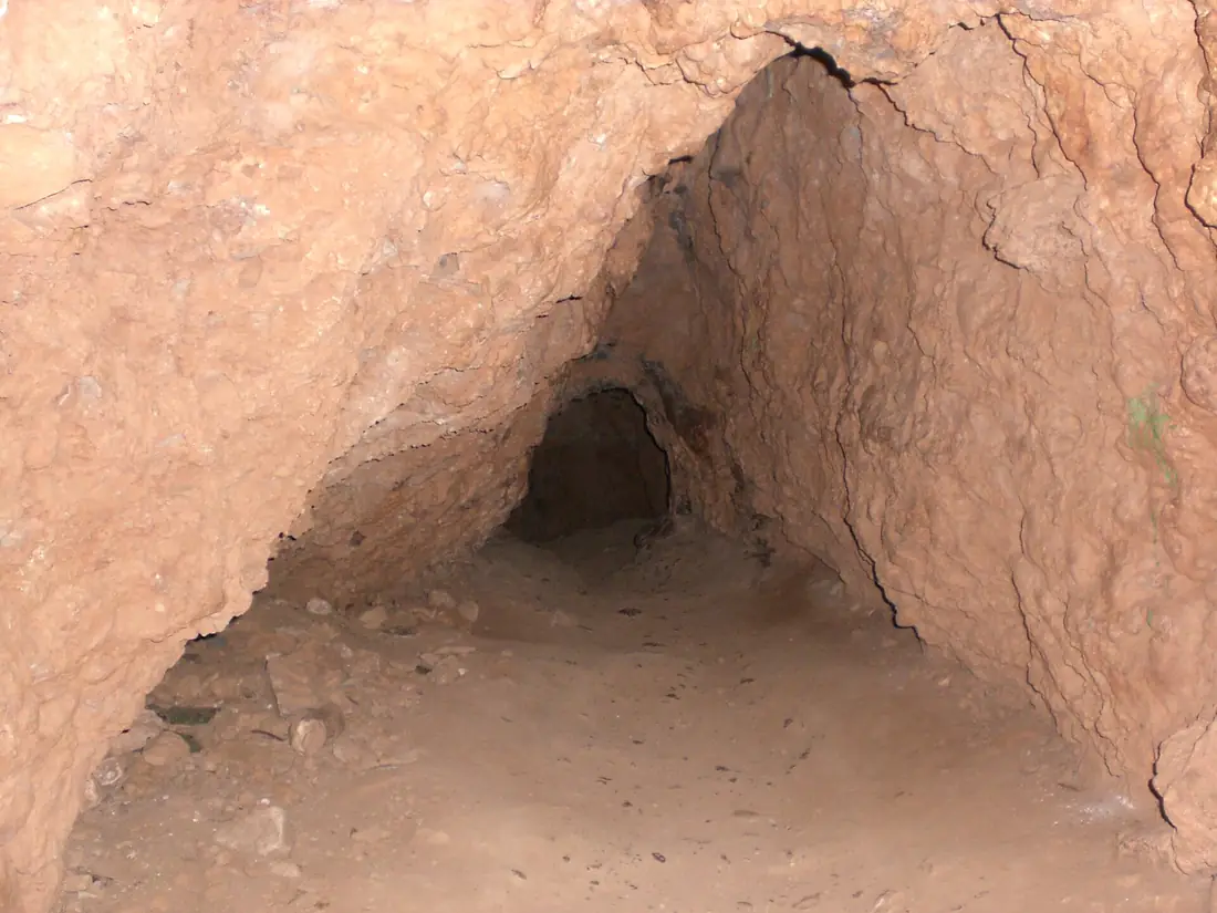 Cova del Manel (febrer 2011) - panoramio (1)