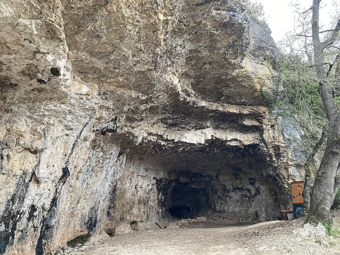 Balma de la Surgència. Conjunt del Toll