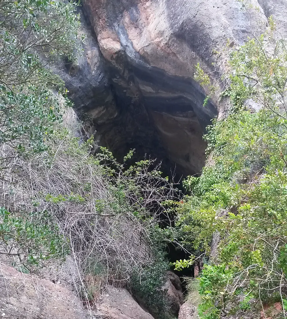 Cova Simanya