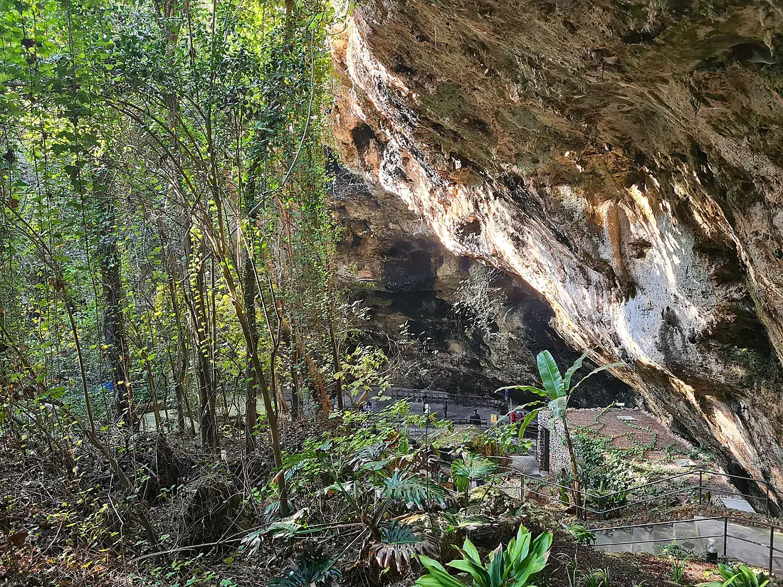 Coves dels Hams1220231