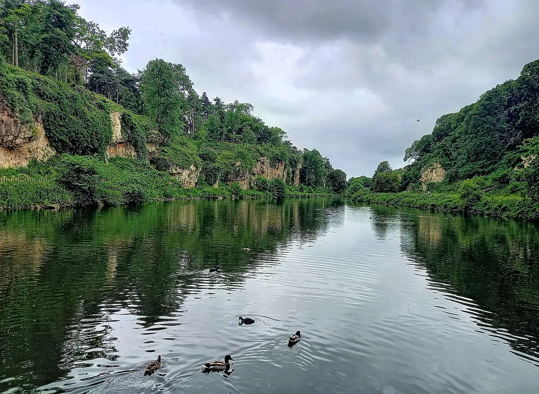 Crags Pond and Creswell Crags