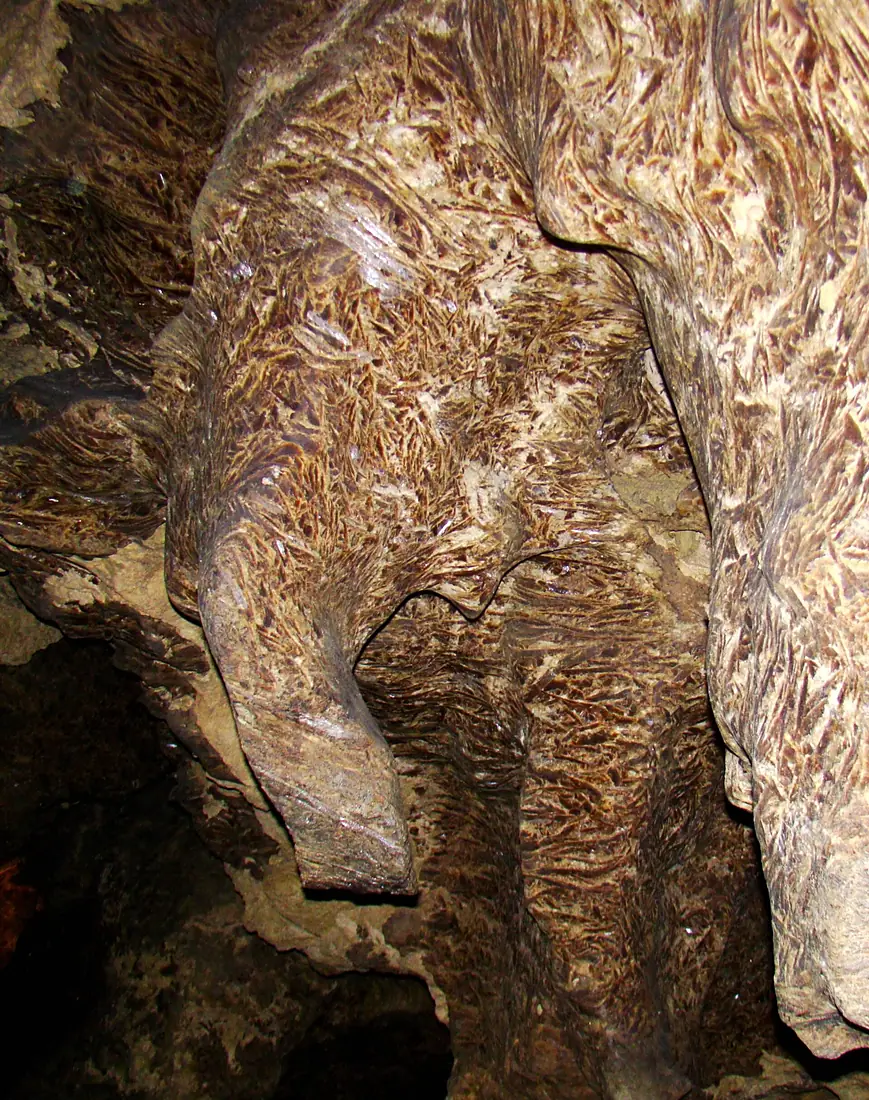 Crystal Cave. Elephant (3685566832)