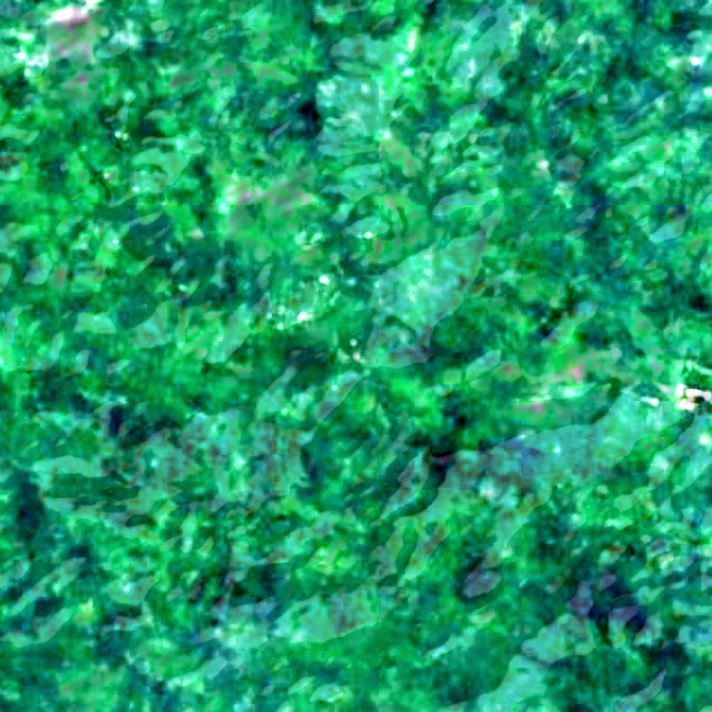 Der Boden über Cueva Alfredo Jahn Natural Monument (Sentinel-2)