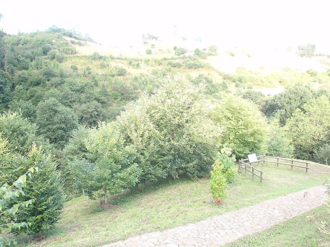 Cueva del Pendo