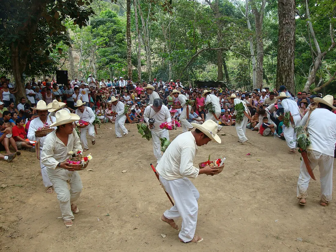 Tabasco.Danza de las Sardinas