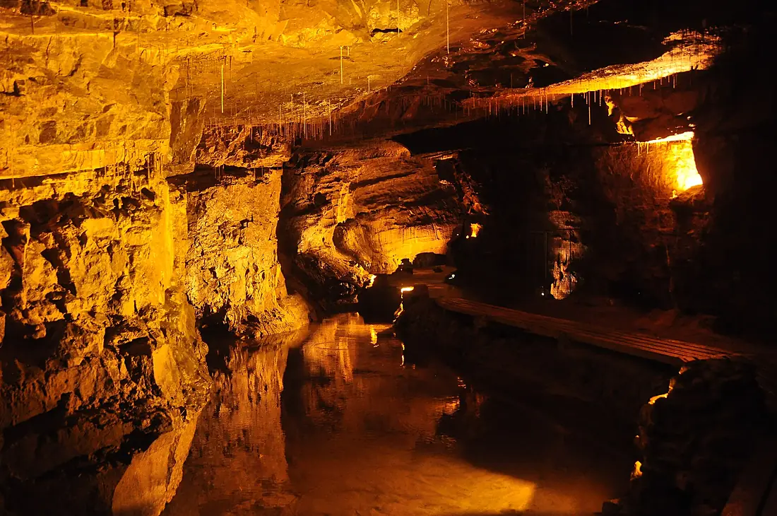 Dan yr Ogof caves (9084)