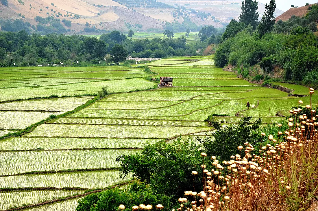Gilan - Totekabon - panoramio