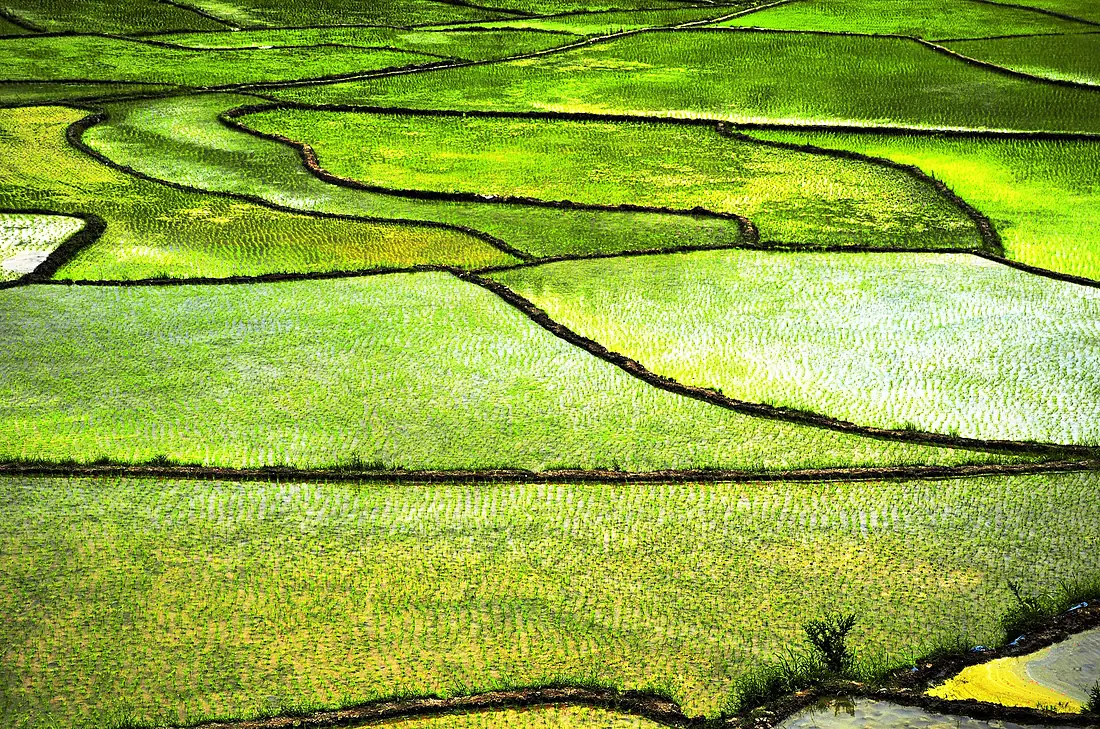 Iran - Gilan - Tutkabon - panoramio