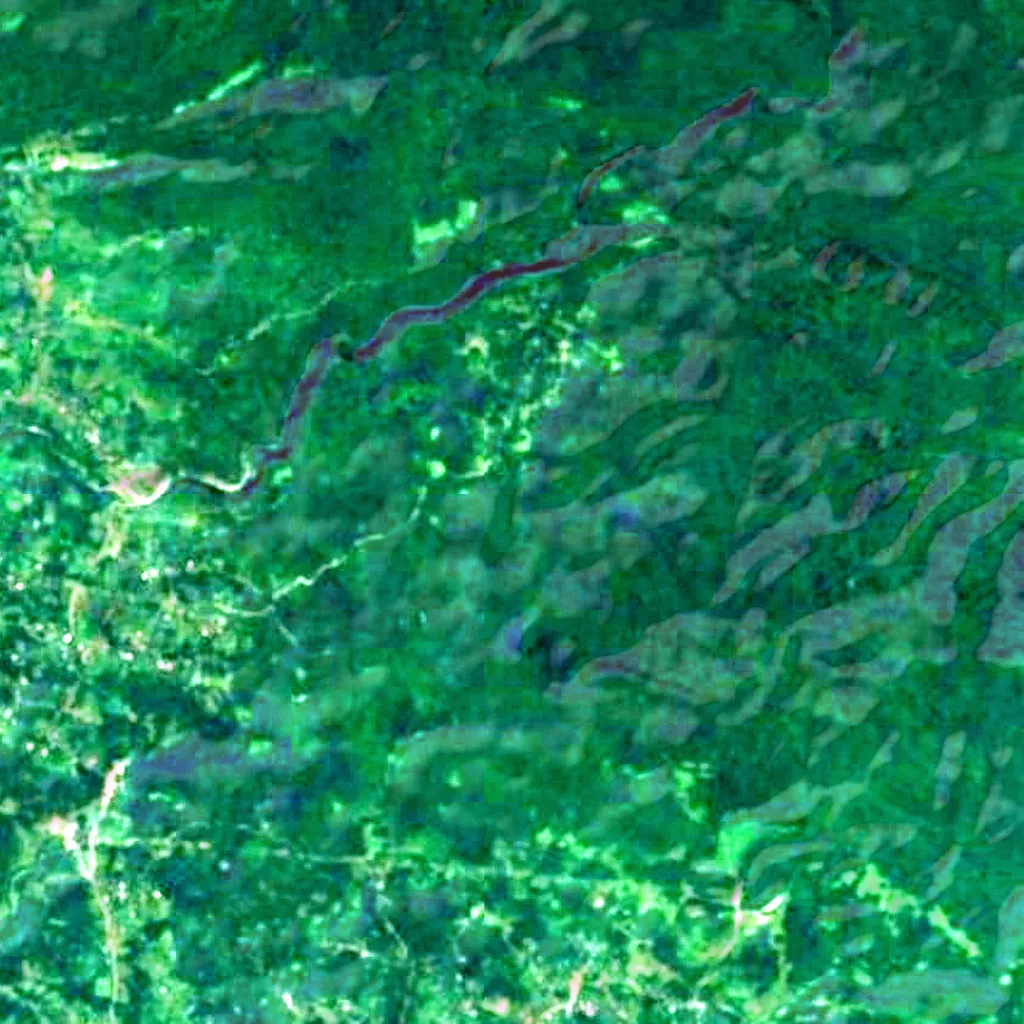 De grond boven Didghele Cave Natural Monument (Sentinel-2)