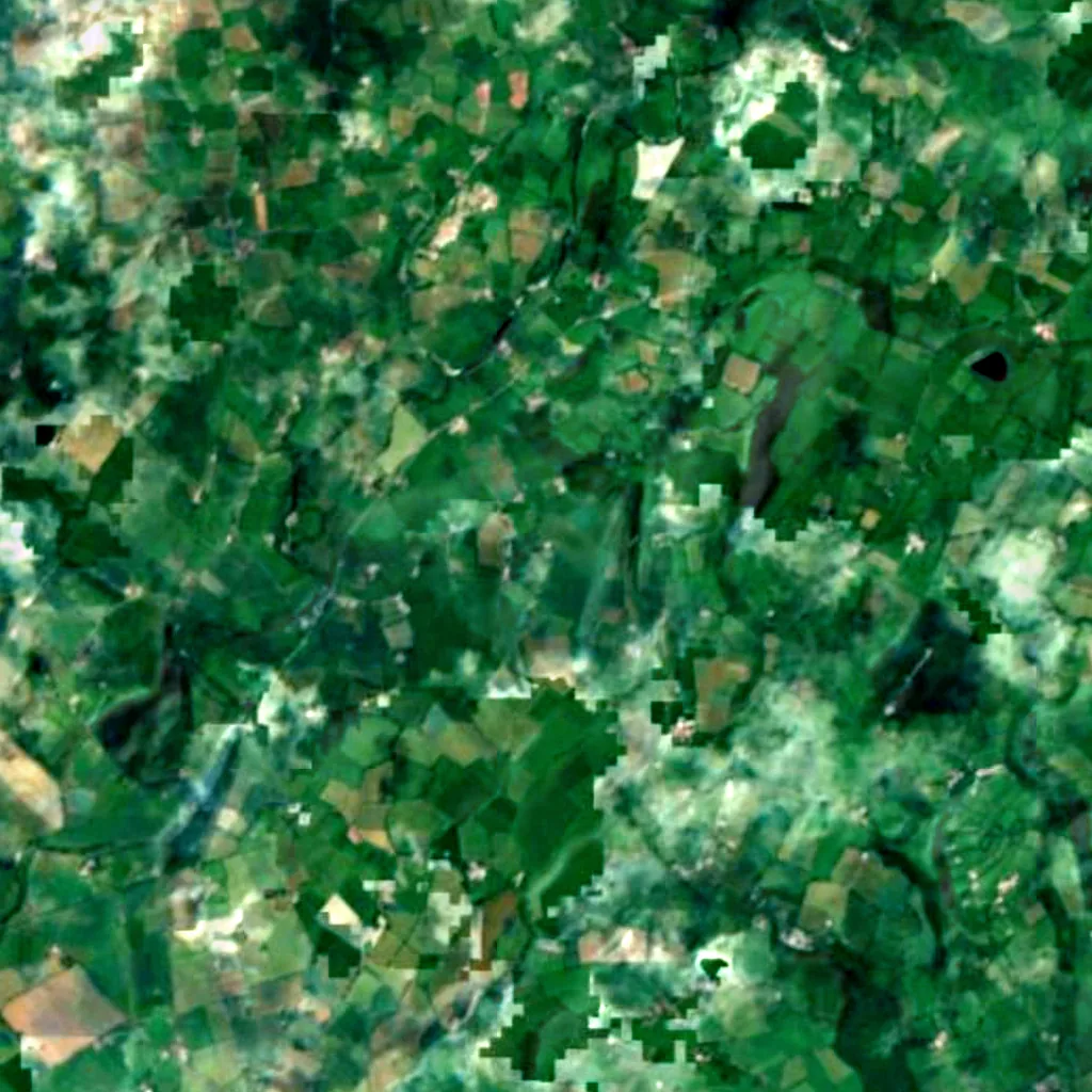 De grond boven Dunmore Cave (Sentinel-2)
