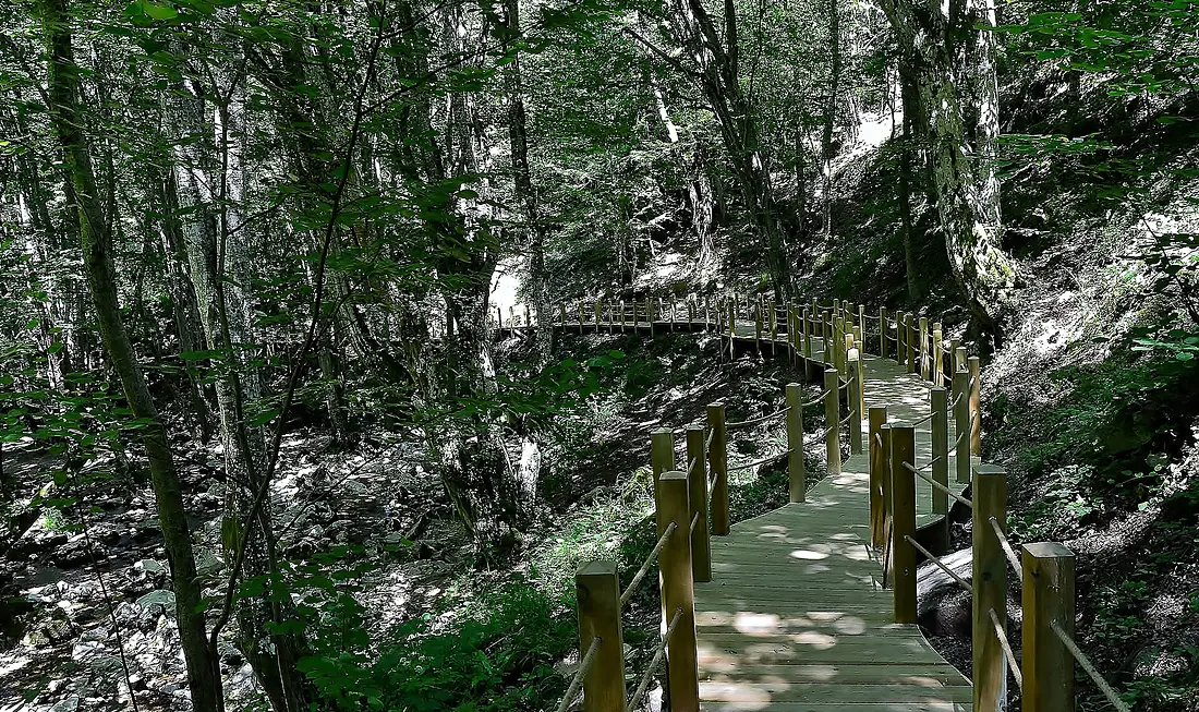 DupnisaCave (35)