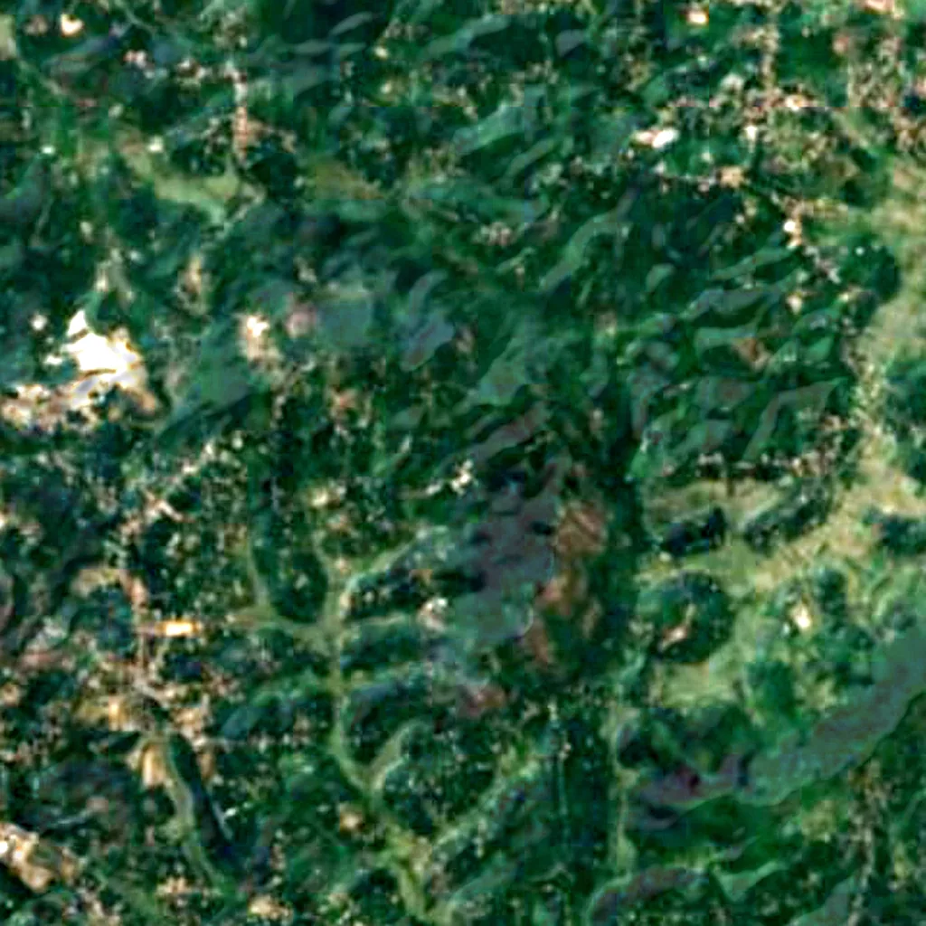 Le sol au-dessus de Edakkal Caves (Sentinel-2)