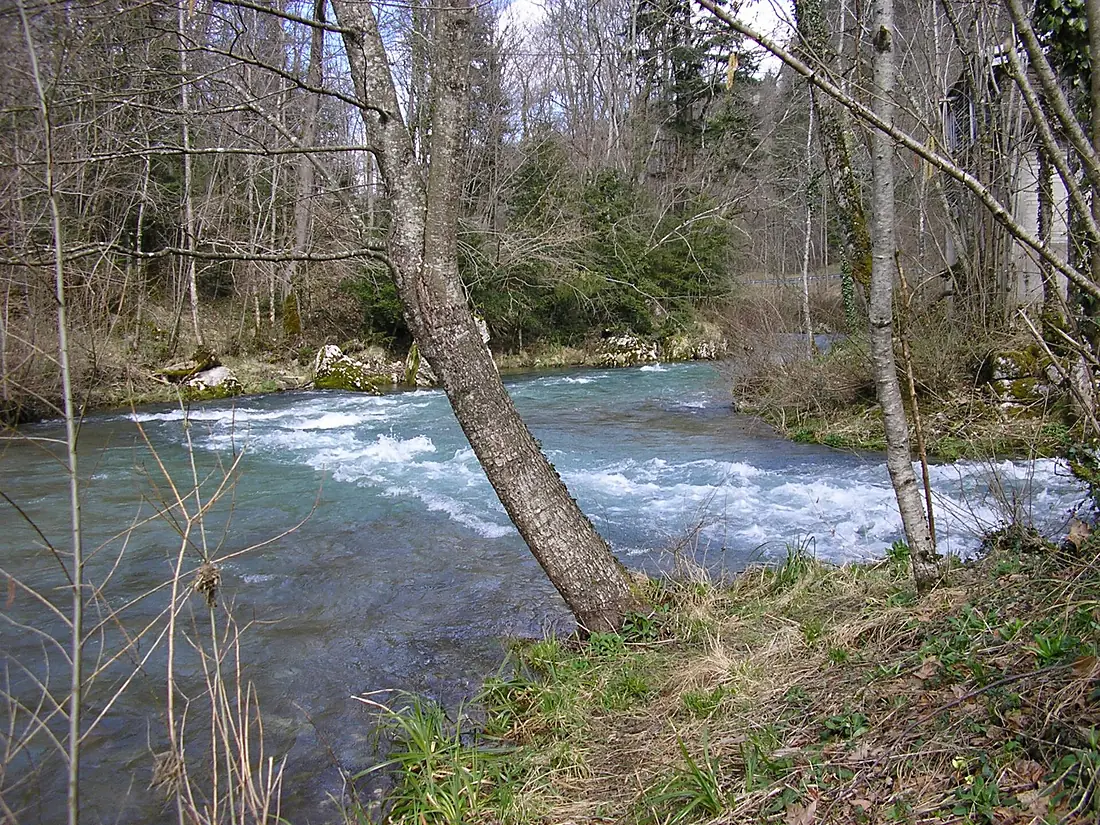 Confluent Hers Fontestorbes