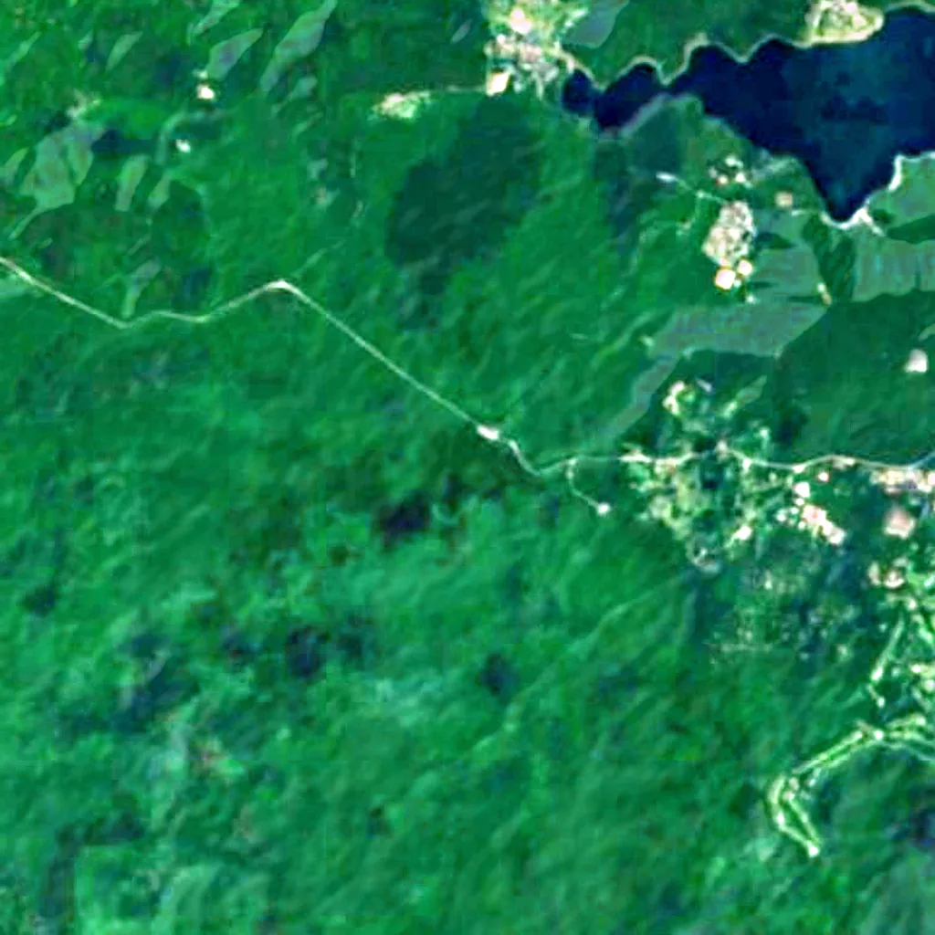 Il terreno sopra Fugaku-Fuketsu (Sentinel-2)