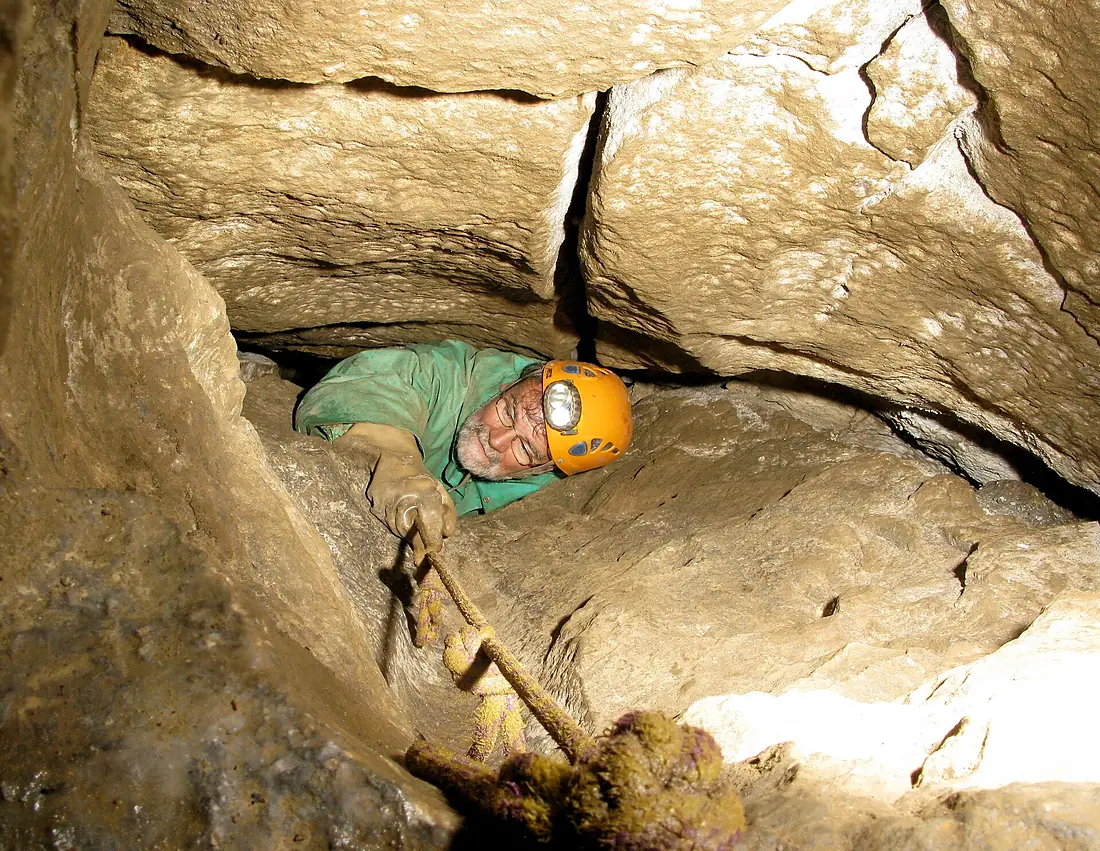 The Molestrangler, Stile Pot