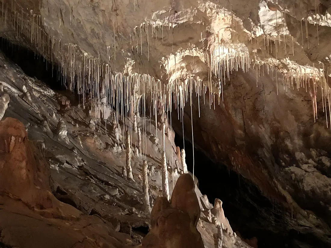 Straw stalactites