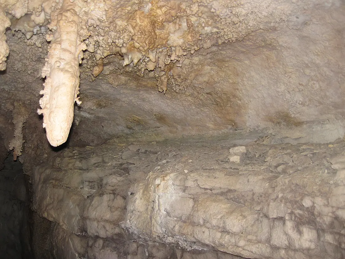 Bethel Shale Member (wall of Great Onyx Cave, Flint Ridge, Mammoth Cave National Park, Kentucky, USA) 1 (8313140203)