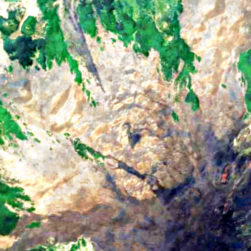 Le sol au-dessus de Grotte du Gel (Sentinel-2)