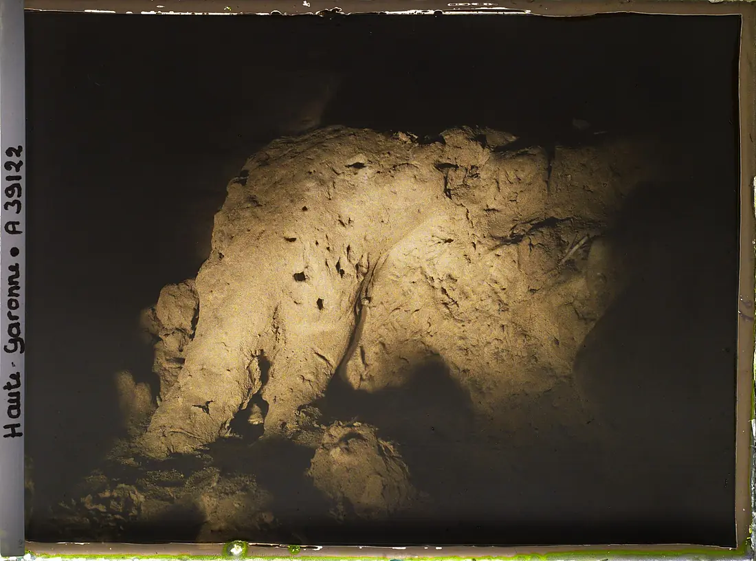 France, Montespan (Hte Garonne), Grotte de Montespan - Le félin - A39122