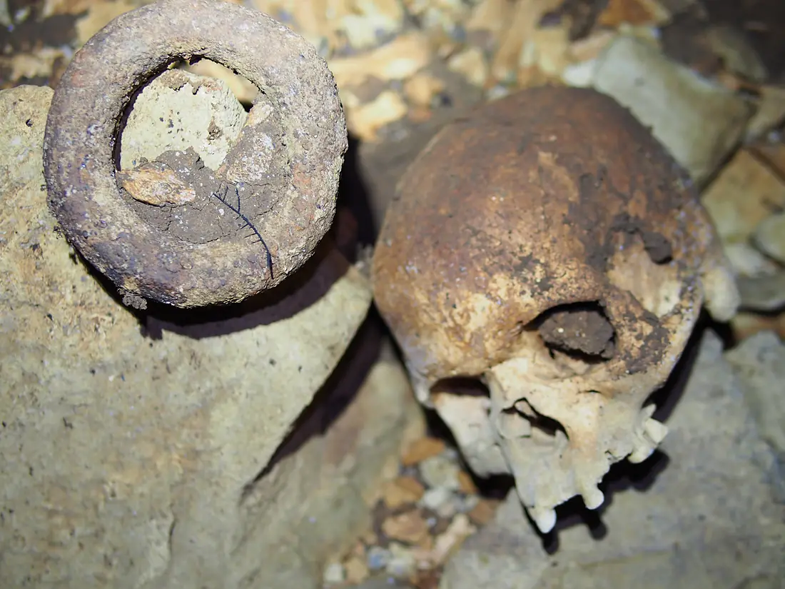 Human skull and iron currency bracelet from Iroungou Gabon