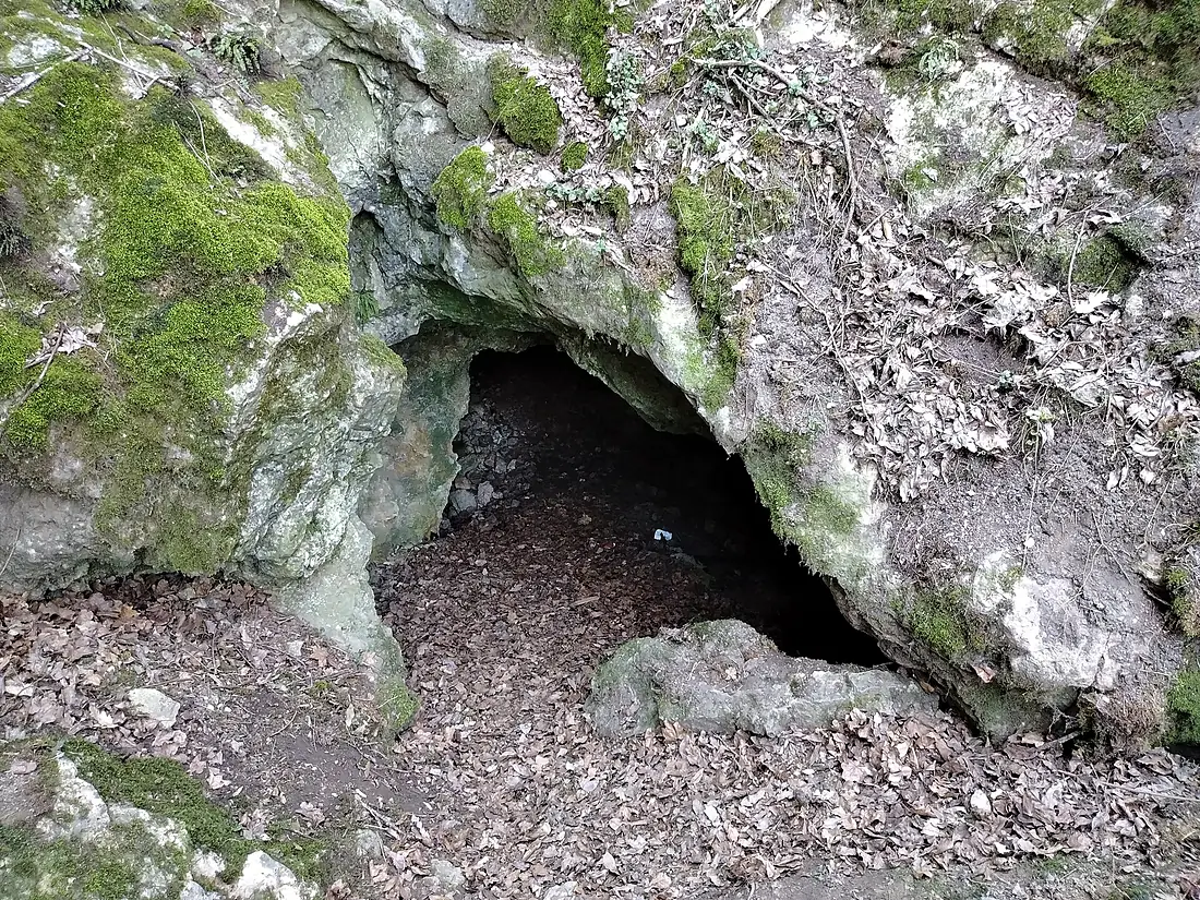 Jankovich-barlang alsó bejárat