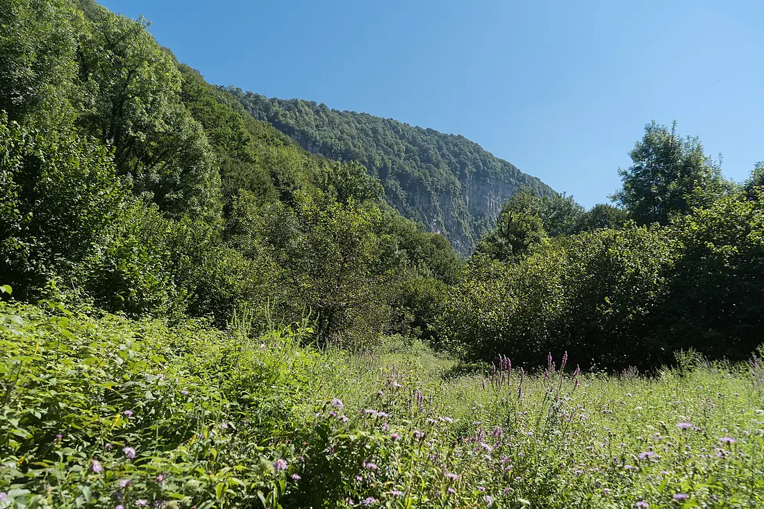 A view from the trail to Oniore Waterfall