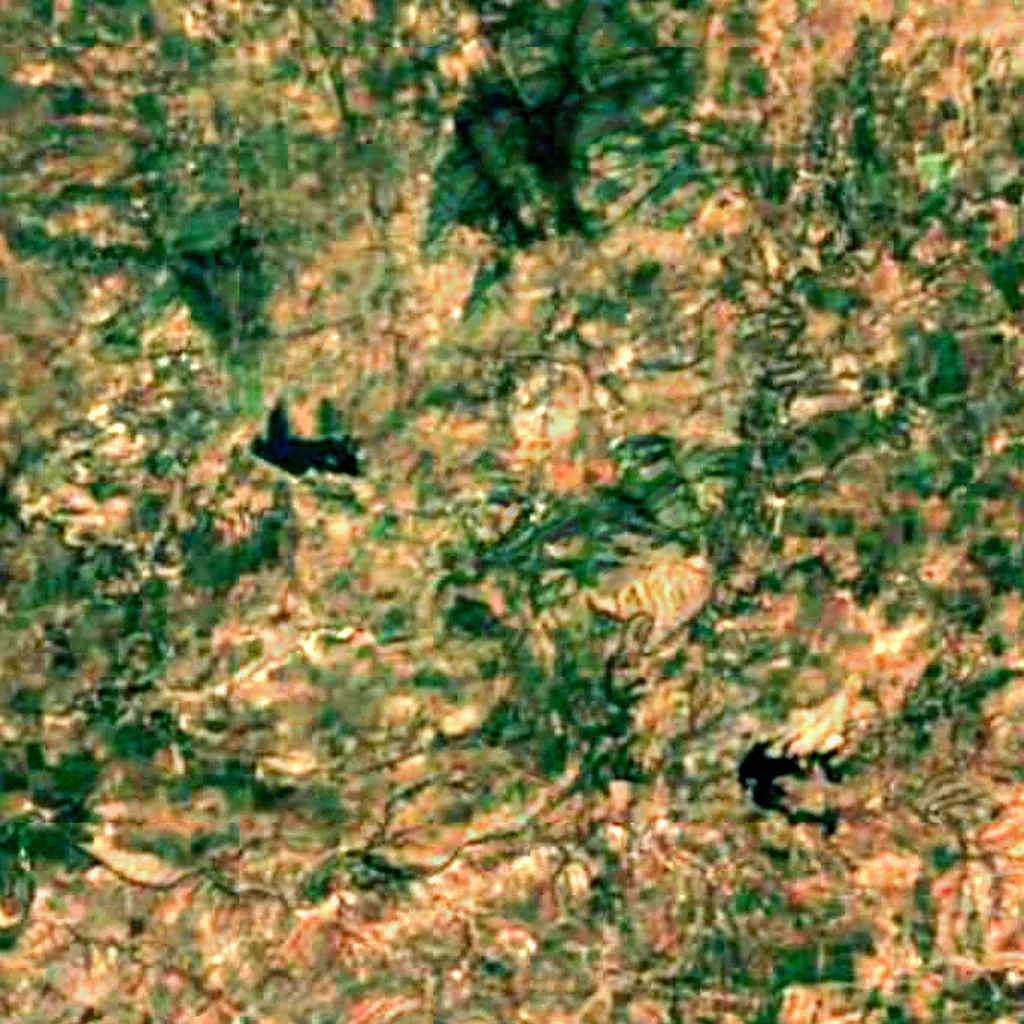 The ground above Kadia Dungar caves (Sentinel-2)