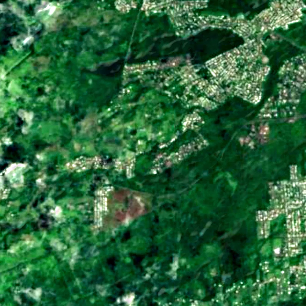 Le sol au-dessus de Kaumana Cave (Sentinel-2)