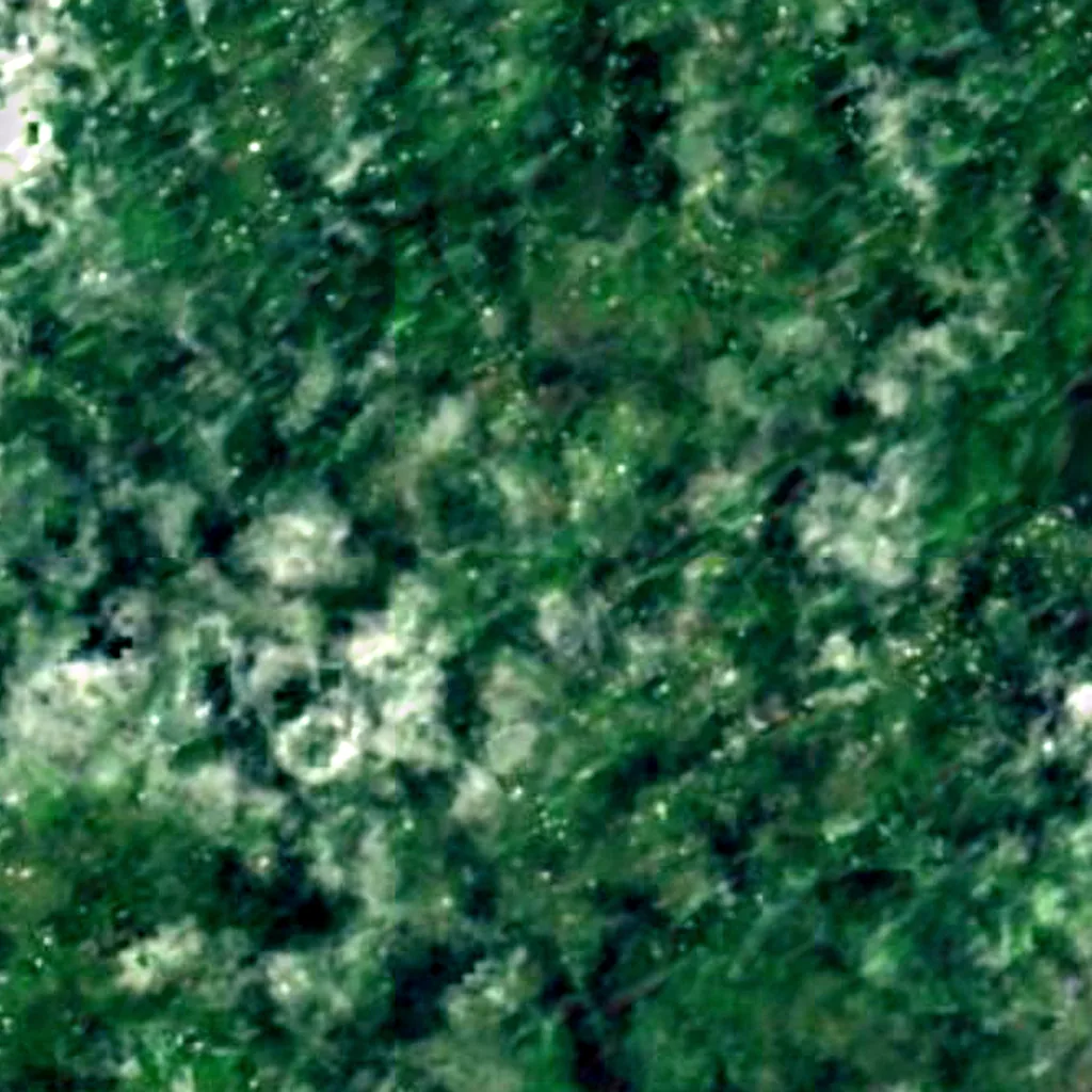 Der Boden über Kazumura Cave (Sentinel-2)