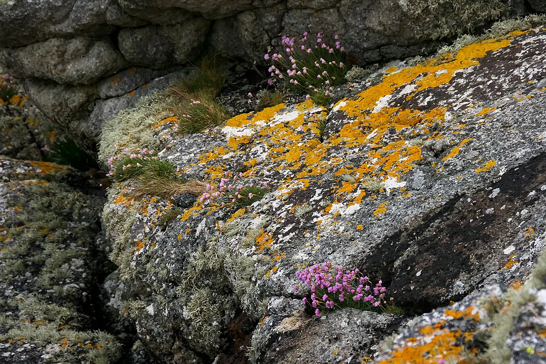 Torr Righ and King's Cave trail, Arran 09