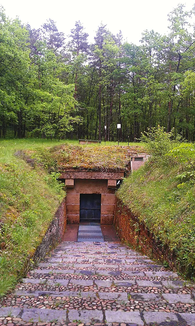 Lascaux entrance