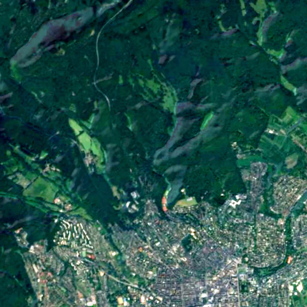 Der Boden über Leichtweißhöhle (Sentinel-2)
