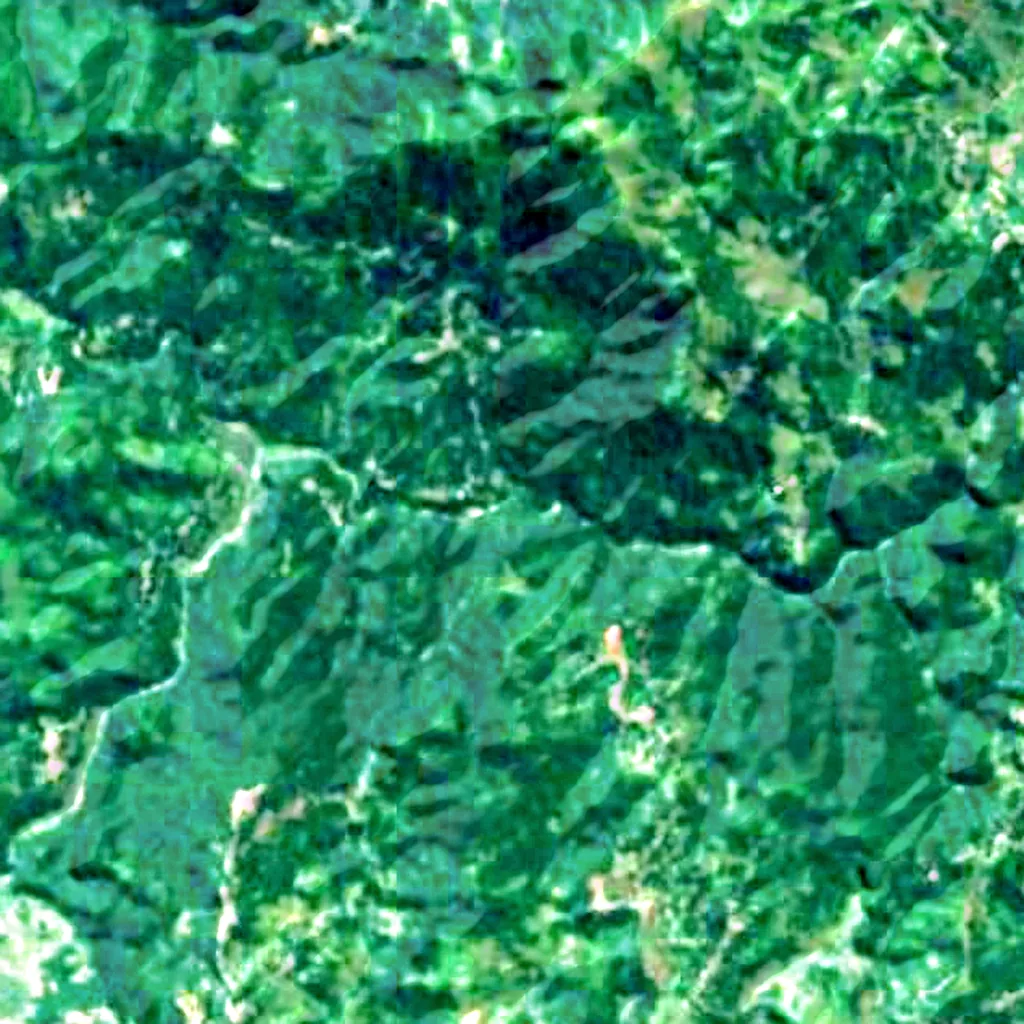 Le sol au-dessus de Liang Bua (Sentinel-2)