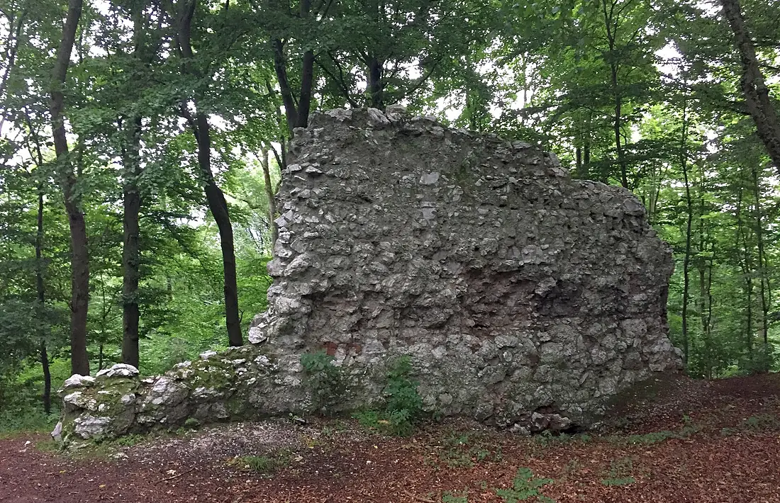 Burgruine Lichtenstein (Förste)