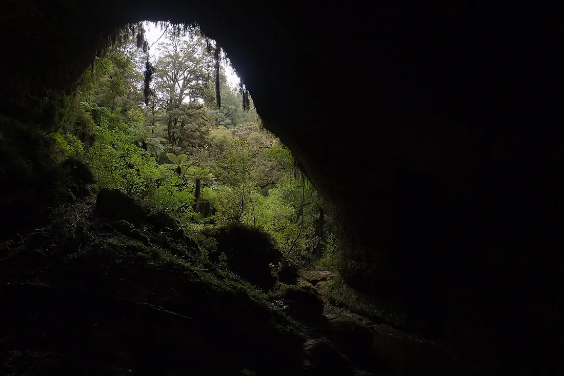Metro Cave Te Ananui Cave entrance