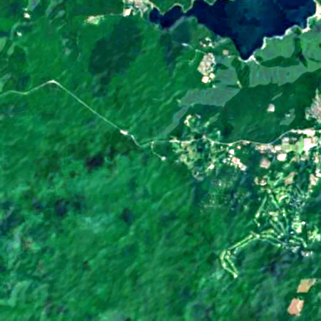 Le sol au-dessus de Narusawa-hyōketsu (Sentinel-2)